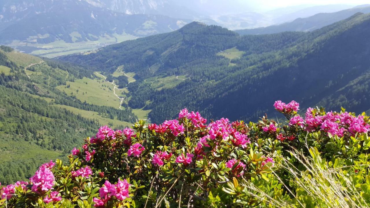 Appartement Am Hauser Kaibling Екстериор снимка